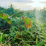 @danesta_rk24 - Instagram