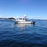 Dane Swanson - @the_360_angler - Instagram