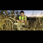 Danewelch - @danewelch - Instagram