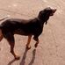 Dane Wilson - Facebook