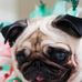 Danelle Rose - Facebook