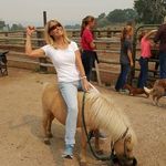Danette Schwend Carroll - @schwendcarroll - Instagram