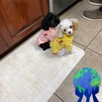 Danette Roberts - Facebook