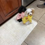 Danette Roberts - Facebook