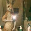 DANGHER23 - @dangher23 - TikTok