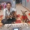 Hung Danh - @hung.danh1972 - TikTok