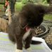Dani Arnold - Facebook