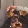 Daniwoods🥰🥰🥰🥰 - @danibella35 - TikTok