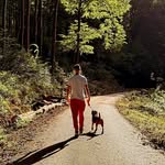 Dániel Bergmann - @bergmann.dani.1 - Instagram
