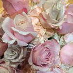 Daniele Bernstein - @danibernsteinflowers - Instagram