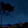 Danibla. - @d9855 - TikTok