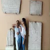 dani_blume - @dani_blume - TikTok