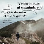 Dani Boyd - Facebook