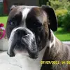 Dani Boyd - @daniboyd7 - TikTok