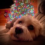 Dani Brewer - @dbrew0809 - Instagram