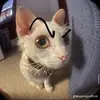Daniw_bunker - @daniw_bunker - TikTok