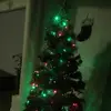 danicraig - @danicraig8 - TikTok