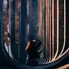 Danni.curtis - @danni.curtis - TikTok