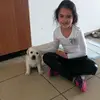 daniel - @danidahan1 - TikTok