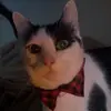 DaniDarko05 - @danidarko05 - TikTok
