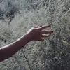 Daniela - @danidarko__ - TikTok
