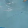 DANI DELEON - @carlosdeleon921 - TikTok