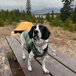 Libbie's Mom - @danidenverpants - Instagram