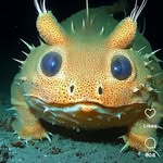 Dan Dodson - @dodson89511 - Instagram