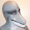 danny dolphin - @dannydolphin0 - TikTok