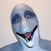 danny dolphin - @bigdannythedolphin - TikTok