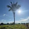 Rancho_Nery’s - @danidoranchonerys - TikTok