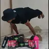 DANI_SW - @danidouglas.sw - TikTok