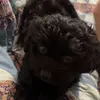 Danny Douglas - @danny.douglas47 - TikTok