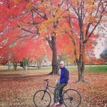 dani - @dani_dragonfly - Instagram