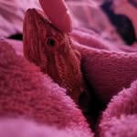 °Dani° - @dani_dragonz - Instagram