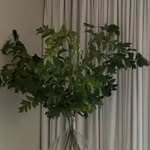 @dani_faraji7068 - Instagram