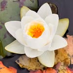 Dani - @dani_flowers_gallery - Instagram