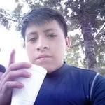 dani frank - @danifrank3147 - Instagram