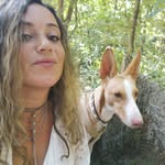Frankie-Podenco - @dani_frankie_ - Instagram