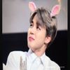 Dani Freeman - @bts_army_4_ever - TikTok