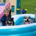 Dani Glover - Facebook