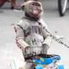 daniguy098 - @daniguy098 - TikTok