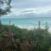 Danielle Hodge - @danihodge21 - TikTok