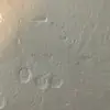 DaniHourani - @dani_hourani - TikTok