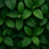 Dani Kim - @naturalhacks2123 - TikTok