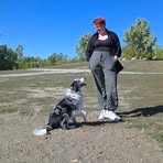 Dani Levy - Facebook