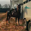 Danilynn - @danilynn635 - TikTok