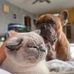 Dani Ott - Facebook