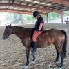 dani_ottb_backup - @dani_ottb_backup - TikTok