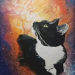 Dani Owen - @pets.by.dani - Instagram